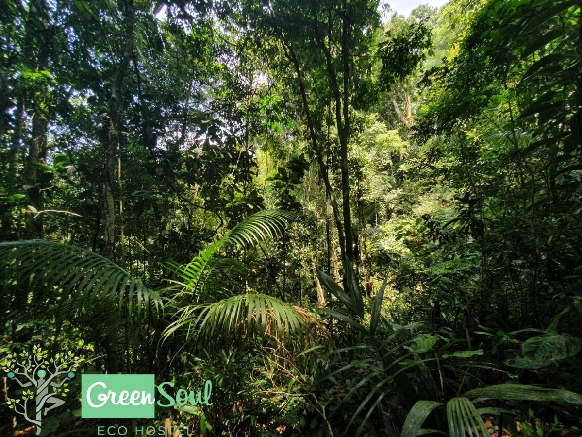 Greensoul Hospedagem Ubatuba Εξωτερικό φωτογραφία